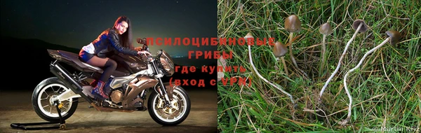 амфетамин Волосово